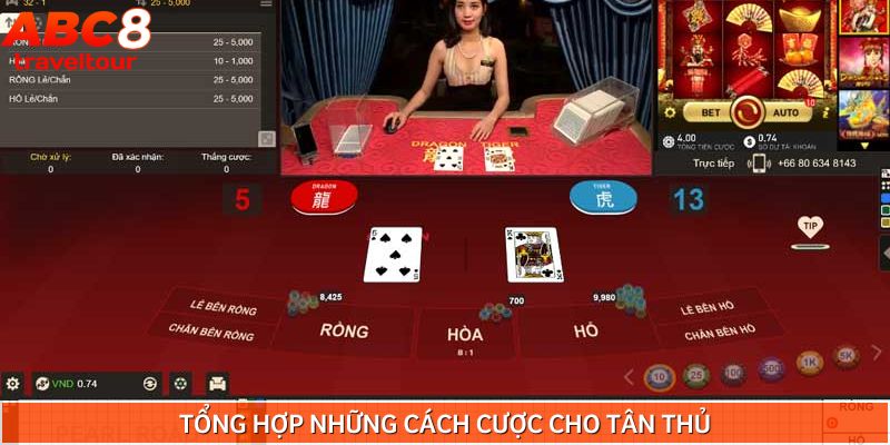 Cách chơi Rồng Hổ đơn giản qua nhiều cửa cược