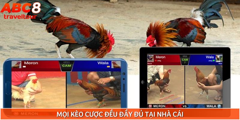 Các loại kèo hấp dẫn nhất tại sảnh đá gà ABC8