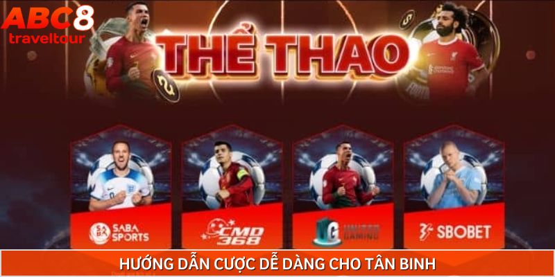 Hướng dẫn cá cược thể thao dành cho tân thủ