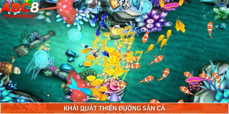 Thiên đường săn cá cơ hội kiếm tiền dễ dàng