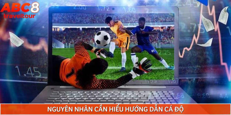 Lý do không thể phớt lờ việc xem hướng dẫn cá độ bóng đá tài xỉu